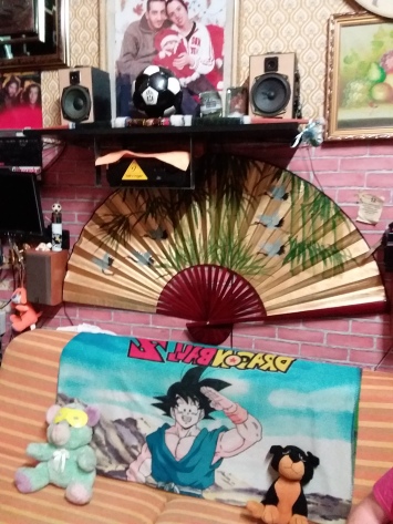 A shrine to Goku from DragonBall Z in the house of the member in Bagheria